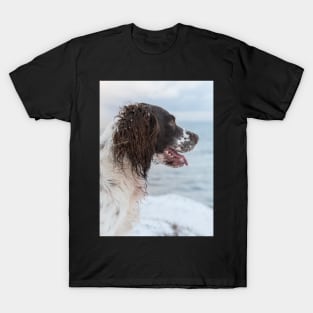 English Springer Spaniel looking out to Sea T-Shirt